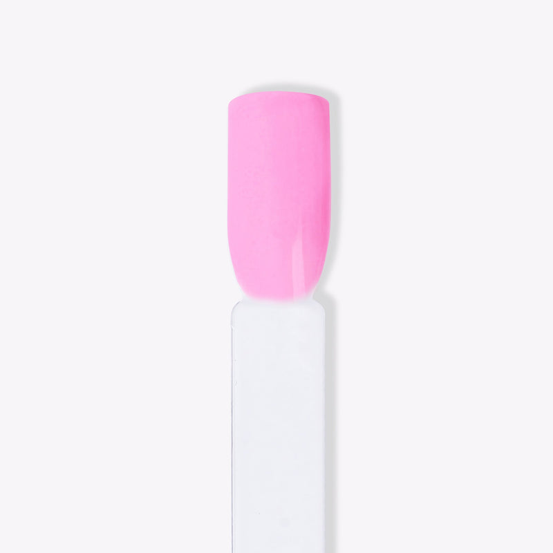 Cotton Candy