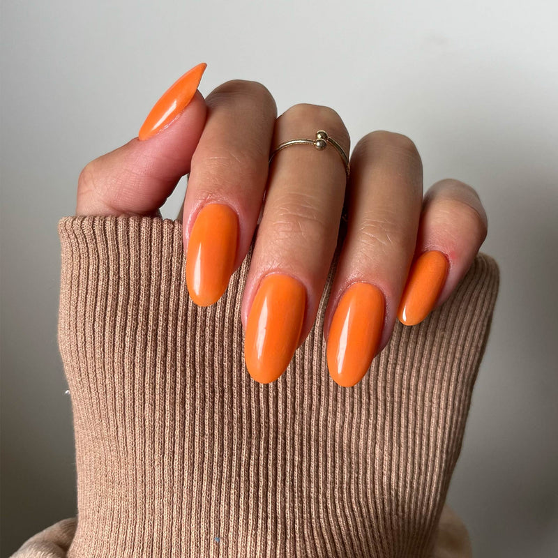 Pumpkin Spice
